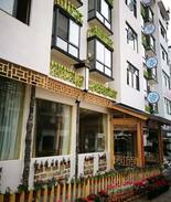 Ziyang County House | 莲动池02房