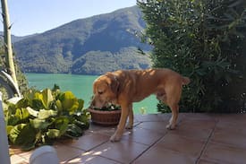 San Mamete Villa | Villa Ca Rossa with view on the Lake of Lugano
