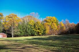 Elkins Cabin | Blissful Seclusion, 27 Mountain Riverfront Acres