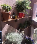 Daly City House | Bright, Peaceful, and Relaxing Home Near BART