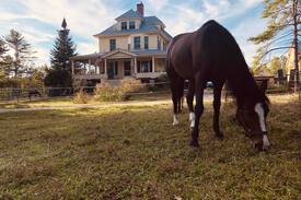 Madison House | Windcroft Stables in the White Mountains