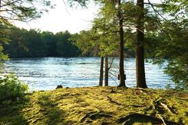 Douglas Cabin | Private Island Retreat In State Forest