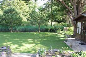 Queen Camel House | Maymorn, delightful bungalow in a peaceful setting
