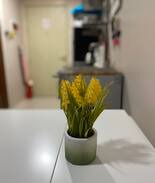 Bel-Air Apartment | Cozy Place in Makati near Mapua open for long term
