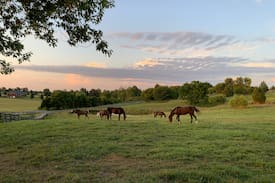 Nazareth House | Creekview Farm: Bourbon, Horses, and Sunsets