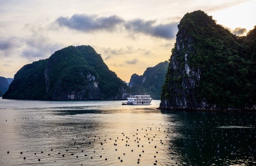 Ha Long Hotel | Alisa Cruise