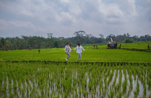 Kedewatan Hotel | Puri Wulandari - A Boutique Resort & Spa