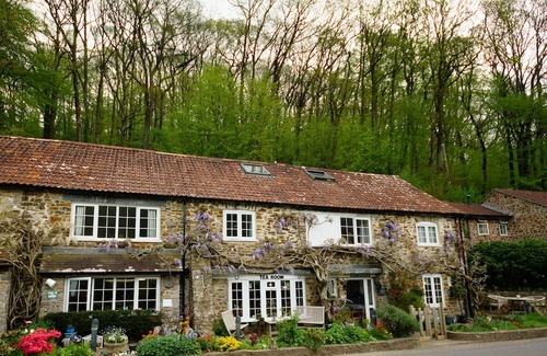 Oakfordbridge Hotel | The Bark House