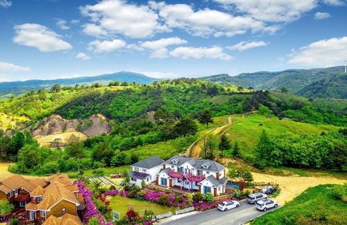 Daegwallyeong Hotel | Pungcha & Herb Pension