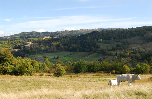 Vivo dʼOrcia Hotel | A Stay Surrounded by Greenery - Agriturismo La Piaggia -App 2 Guests