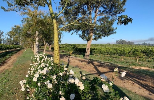 Addo Hotel | Gerald's Gift Guest House