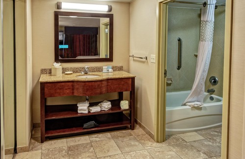 South Loop Hotel | Hampton Inn & Suites Minneapolis St. Paul Airport - Mall of America