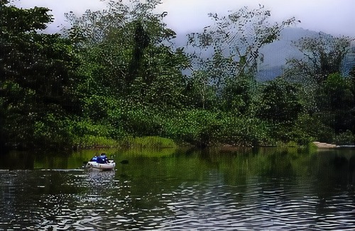 Good Living Camp Hotel | Sleeping Giant Rainforest Lodge