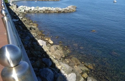 Pegli Hotel | Pegli the Artists House, Seaside and Sun