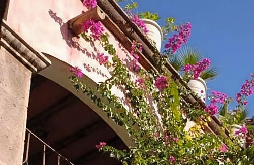Loreto Hotel | Posada de las Flores Loreto