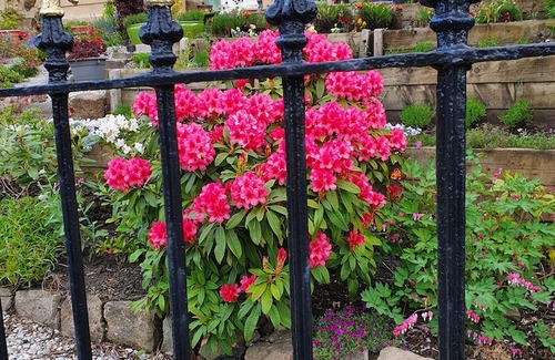 Kilmarnock Hotel | Dean Park Guest House