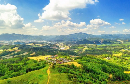 Daegwallyeong Hotel | Pungcha & Herb Pension