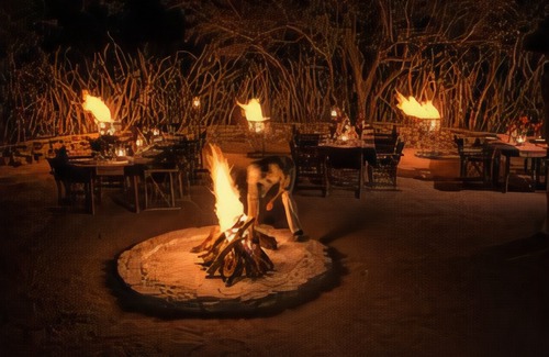 Madikwe Game Reserve Hotel | Impodimo Game Lodge