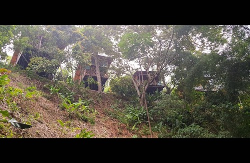 Quimbaya Hotel | Nice Place in Quimbaya Quindio Close to Natural Parks
