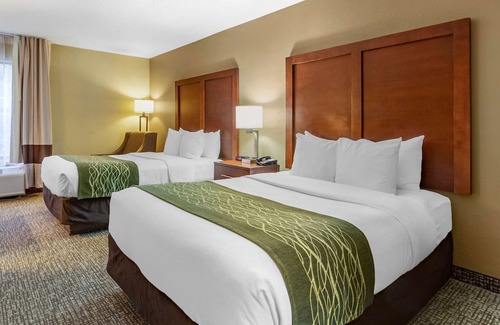 Apex Hotel | Comfort Inn Apex - Holly Springs