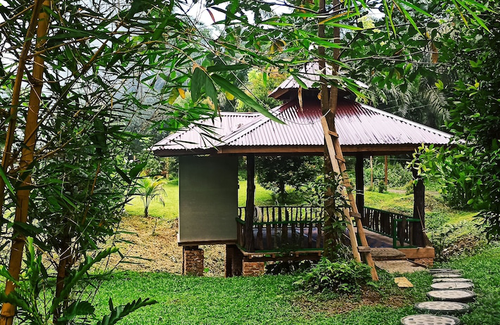 Batang Serangan Hotel | Green Forest Tangkahan