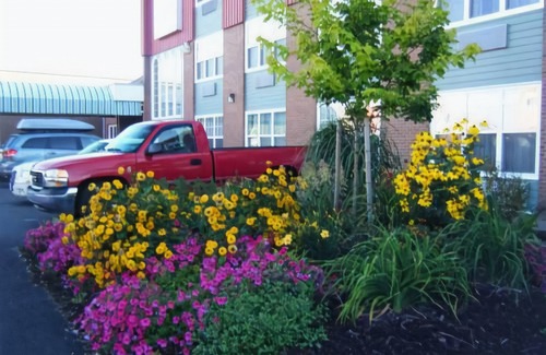 Antigonish Hotel | Claymore Inn and Suites