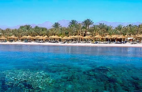 Sharm El Sheikh Hotel | Fayrouz Resort