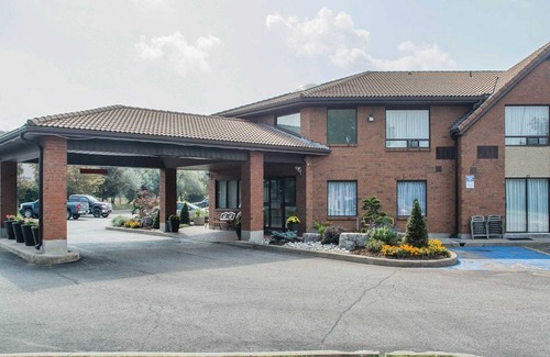 Cambridge Hotel | Comfort Inn Cambridge