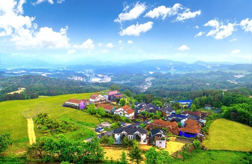Daegwallyeong Hotel | Pungcha & Herb Pension