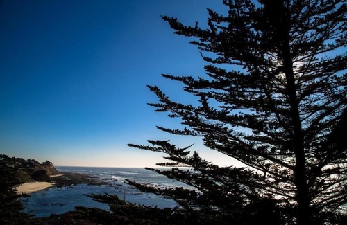 Moss Beach Hotel | Seal Cove Inn