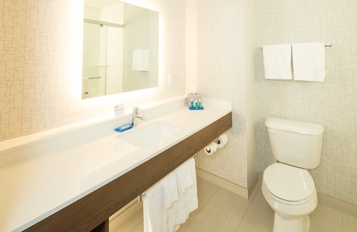Bay City Hotel | Holiday Inn Express Hotel & Suites Bay City, an IHG Hotel