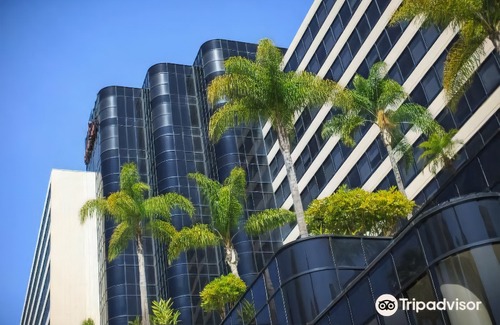 Downtown Long Beach Hotel | Renaissance Long Beach Hotel