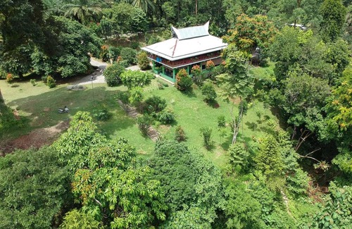 Batang Serangan Hotel | Green Forest Tangkahan