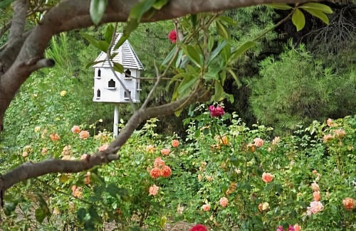 Lyndoch Hotel | The Residence at Barossa Chateau