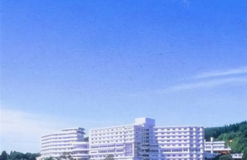 Shizugawa Hotel | Minamisanriku Hotel Kanyo