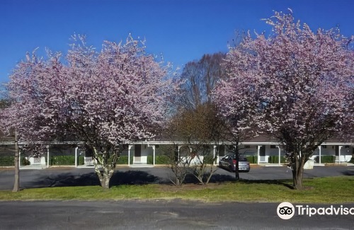 Armidale Hotel | Moore Park Inn