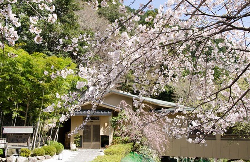 Yoro Hotel | Takimotokan Yuki No Sato