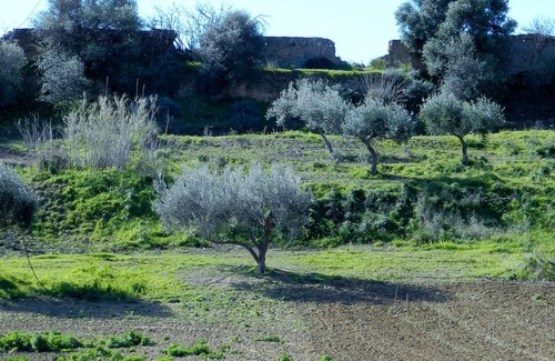 Villaseta Hotel | Agriturismo Passo dei Briganti