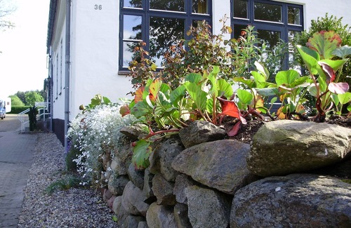 Hovedgard Hotel | Provstegården Bed & Breakfast