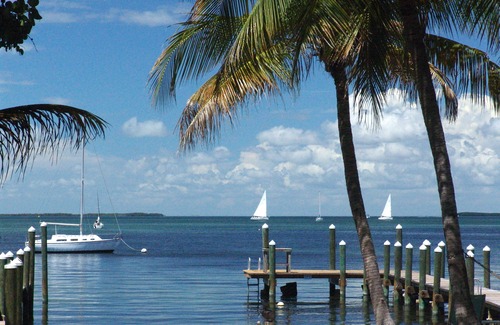 Key Largo Hotel | The Pelican Key Largo Cottages
