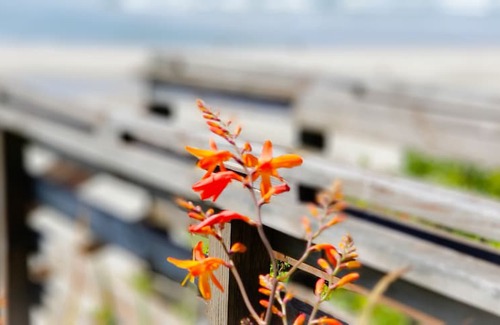 Newport Hotel | Nye Beach Condos & Cottages