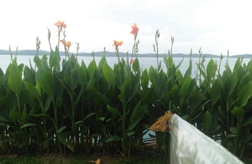 Kabil Hotel | Barelang Bridge Hotel
