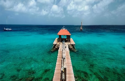 Playa Hotel | Divi Flamingo Beach Resort