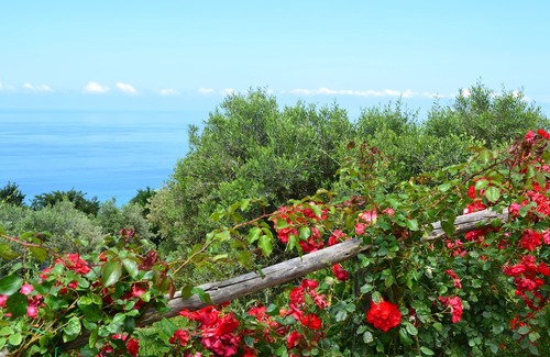 San Lucido Hotel | Borgo Rosso di Sera Resort Country Chic