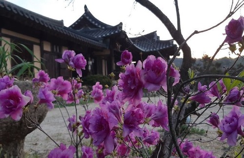 Bonghwa Hotel | Manhoe Gotaek