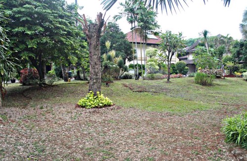 Kayu Putih Hotel | C'One Hotel Pulomas
