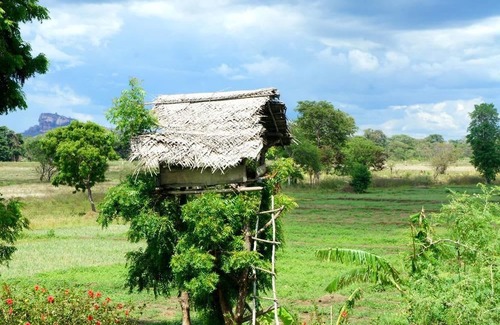 Inamaluwa Hotel | The Hideout Sigiriya