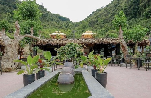 Cat Hai Hotel | Catba Oasis Bungalows - Hostel