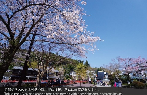 Shuzenji Hotel | Hostel Knot