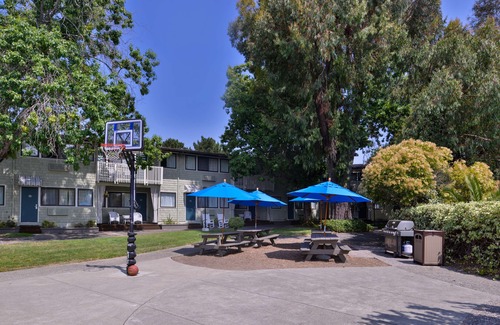 Corte Madera Hotel | Best Western Corte Madera Inn